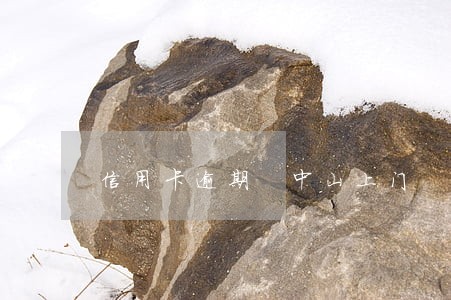 信用卡逾期 中山上门 信用卡逾期 中山上门